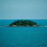 Fotó: Dijanynni Kiratza, Forrás: Pexels