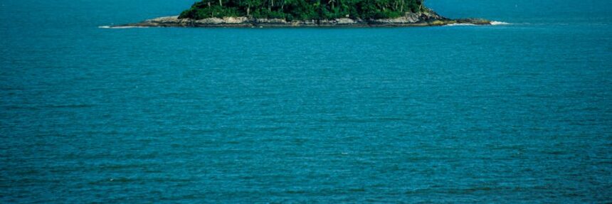 Fotó: Dijanynni Kiratza, Forrás: Pexels